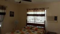 Rays Bed And Breakfast Hostel キングストン エクステリア 写真